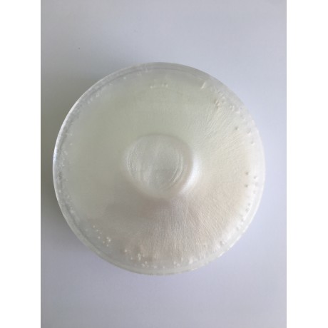 Metalický pigment bily